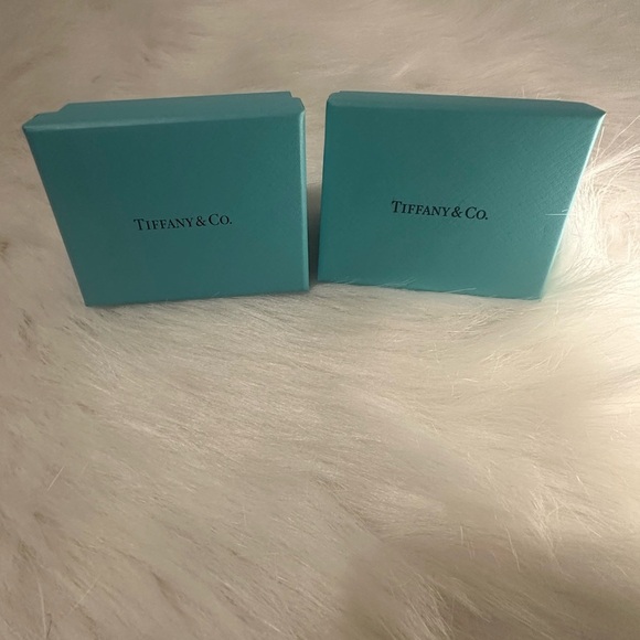 Tiffany & Co. Iconic Blue Gift Boxes - Picture 1 of 6